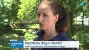 Опасни горещини: Мерки и съвети за работа