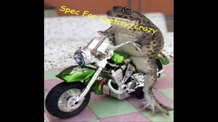 Spec For cvetity_crazy