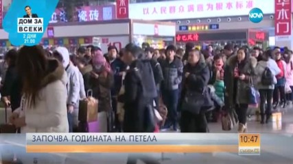 Започва Годината на петела