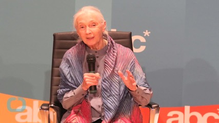 Jane Goodall Reacts to the Killing of Cecil the Lion