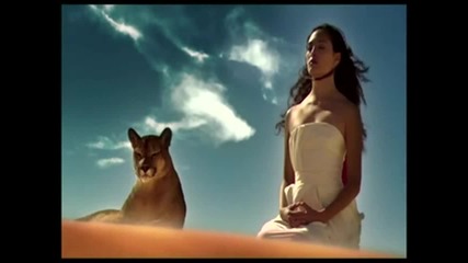 Edward Maya presents Violet Light - Love Story (tribute to Mexico)