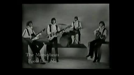 The Merseybeats - Fools Like Me