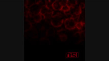 Osi - Christian Brothers 