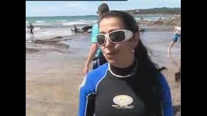 Whales die on beach