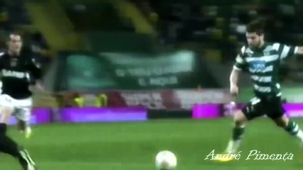 Miguel Veloso - All Goals 2009 - 2010