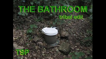 Бг хаус: тsp - The Bathroom ( Tribal Edit )