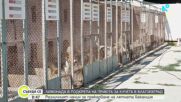Момичета продават лимонада, за да помогнат на кучетата от приюта в Благоевград