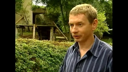 Азиатски лъвчета
