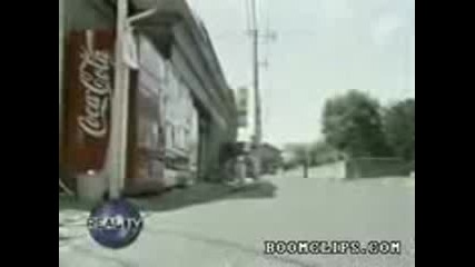 Семейство в Япония си отглеждат пингвин! 