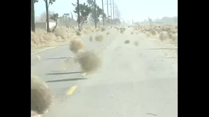 Красива гледка