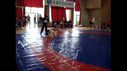 Mma Dupnica Final - Roni - 