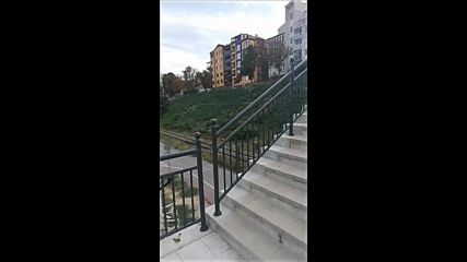 Video-(1631989783)