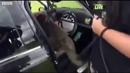 Куче кара шофьорски курс