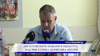 Августовските пожари в областта: над 5900 кубика дървесика изгоря