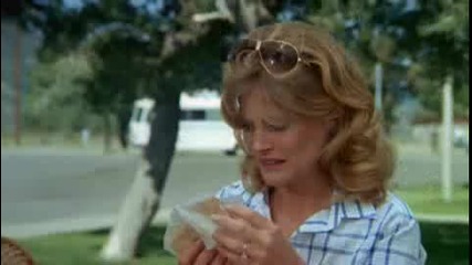  Vacation  Trailer