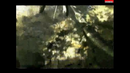 Оцеляване на предела - Суматра - Ultimate Survival - Sumatra (част 1#2) (bg subs) 
