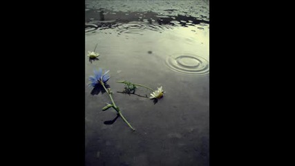 ``the Sky Is Crying``