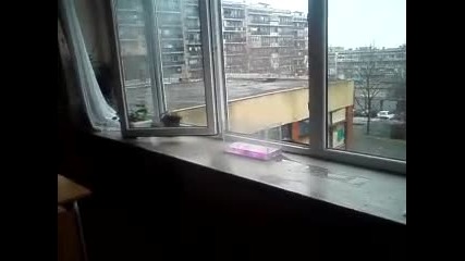 Химична Реакция 