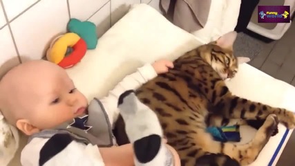 Компилация Смях - Cute Cats and Dogs Love Babies Compilation 2015