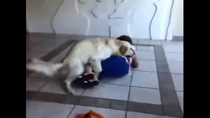 куче чука бабка