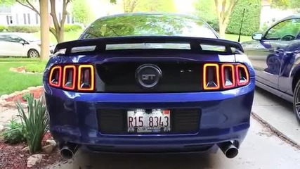 Two Blue 2013 Mustang Gts - Walkaround