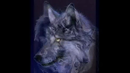 Яки вълци 