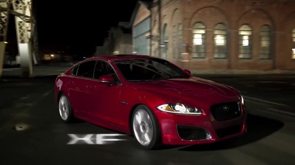 Jaguar At Play