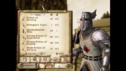 My oblivion character:light armor Warrior