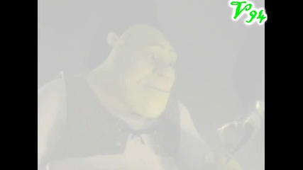 Shrek - Diamonds and Rubies 