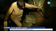 Порои удавиха Гърция