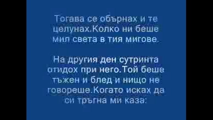 9c415ed3.flv