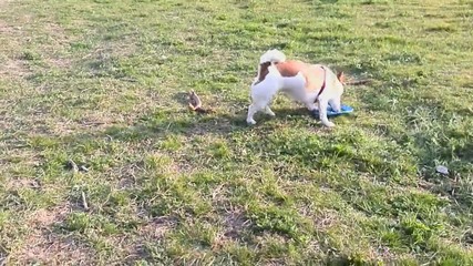 Vid_20150326_165952[1]