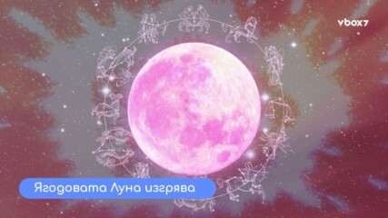 Очаквайте: „Ягодовата Луна“ – най-ниската пълна луна от 2006 г. насам 🌕