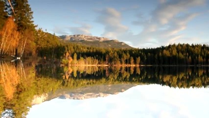 Перфектно отражение