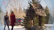 Романтични вечери с филмите по DIEMA FAMILY