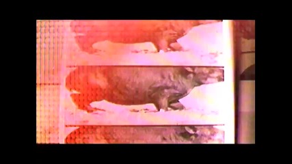 Linkin Park - Given Up