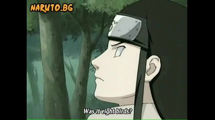 Naruto Fans 3
