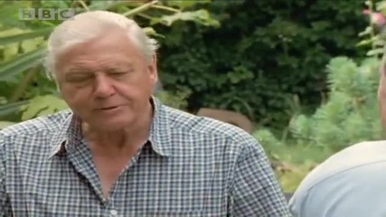 Sir David Attenborough on Vanity - Interview with Michael Palin - Bbc 