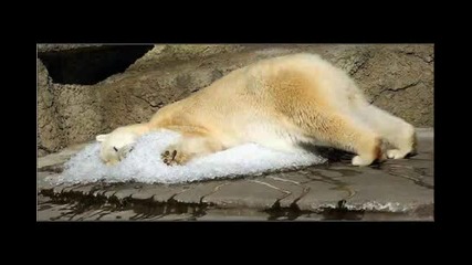 **awesome Pics **гледайте!!! 