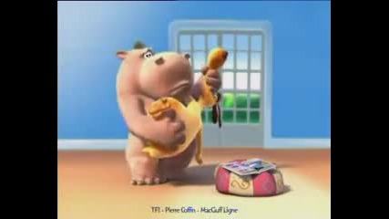 hippo and dog 1