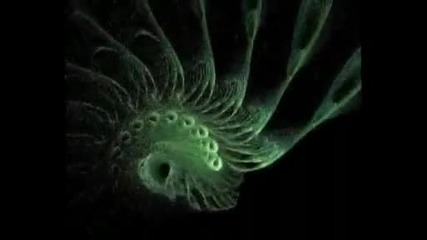 Meduzza - Fly Away
