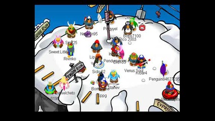 Clubpenguinbulgariann and Cpbginfo Party 2009