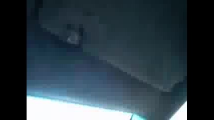 Gallardodon