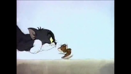 Tom And Jerry - The Bodyguard