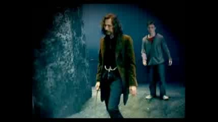 Sirius & Bellatrix - She is like heroin
