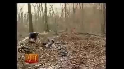 Воден капан (смях) 
