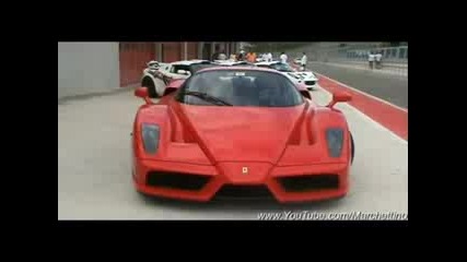 Ferrari Enzo in Action 