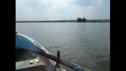 Бързо гребане