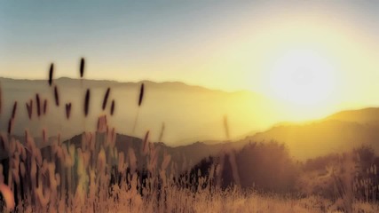 Etherwood - Deeper Love