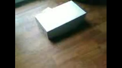 Изненада За Котенцето :d